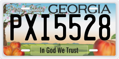 GA license plate PXI5528