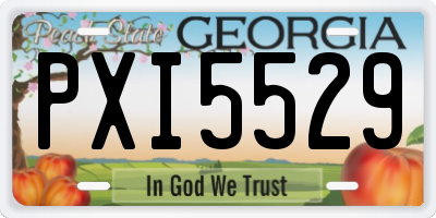 GA license plate PXI5529