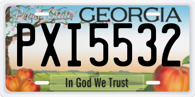 GA license plate PXI5532