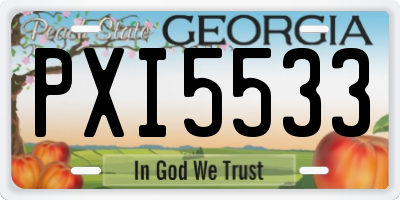 GA license plate PXI5533