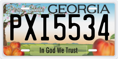GA license plate PXI5534