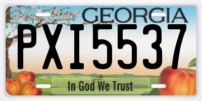 GA license plate PXI5537