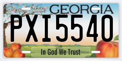 GA license plate PXI5540