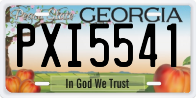 GA license plate PXI5541