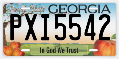 GA license plate PXI5542