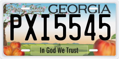 GA license plate PXI5545
