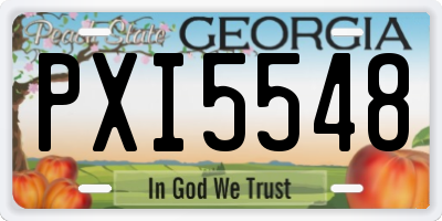 GA license plate PXI5548