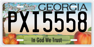 GA license plate PXI5558