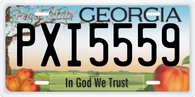 GA license plate PXI5559