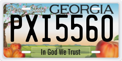 GA license plate PXI5560
