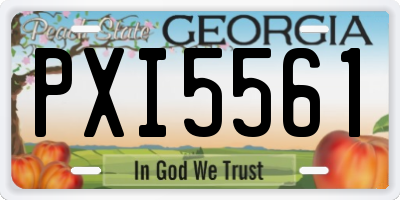 GA license plate PXI5561