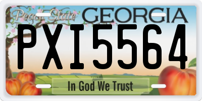 GA license plate PXI5564