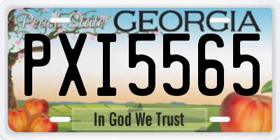 GA license plate PXI5565