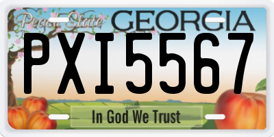 GA license plate PXI5567