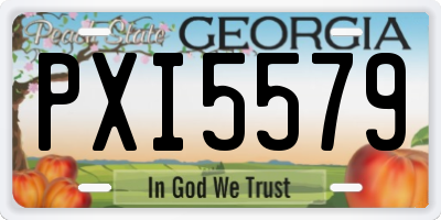 GA license plate PXI5579