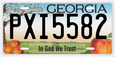 GA license plate PXI5582