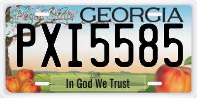 GA license plate PXI5585