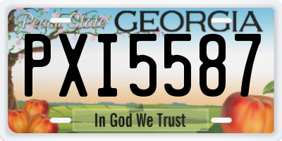 GA license plate PXI5587
