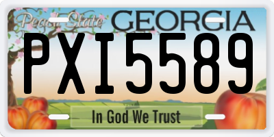 GA license plate PXI5589