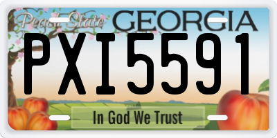 GA license plate PXI5591