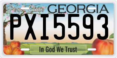 GA license plate PXI5593