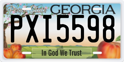 GA license plate PXI5598