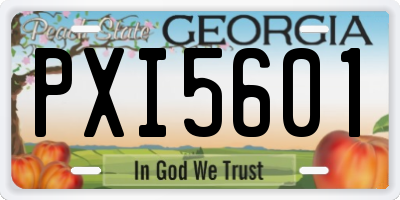 GA license plate PXI5601