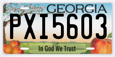 GA license plate PXI5603