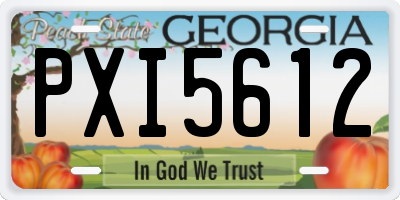 GA license plate PXI5612