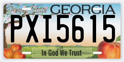 GA license plate PXI5615