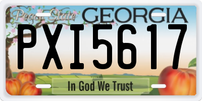 GA license plate PXI5617