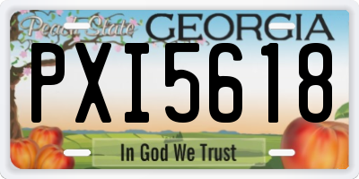 GA license plate PXI5618