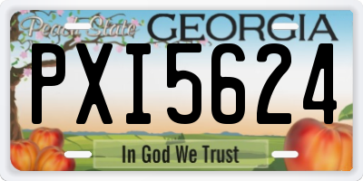 GA license plate PXI5624