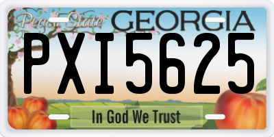 GA license plate PXI5625