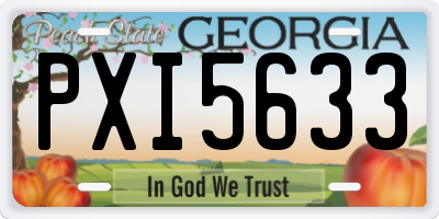 GA license plate PXI5633