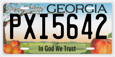 GA license plate PXI5642