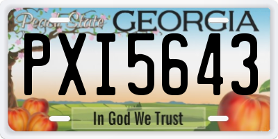 GA license plate PXI5643