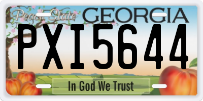 GA license plate PXI5644