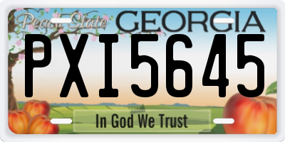 GA license plate PXI5645