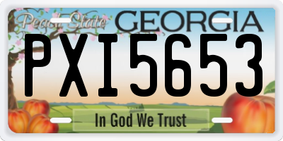 GA license plate PXI5653