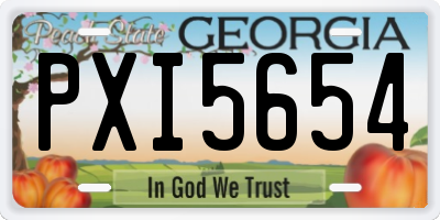 GA license plate PXI5654