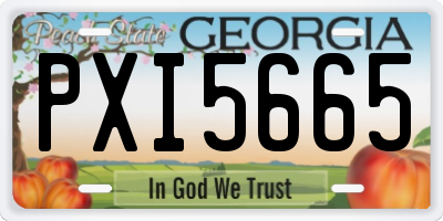 GA license plate PXI5665