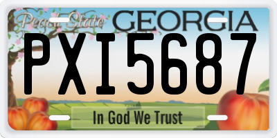 GA license plate PXI5687