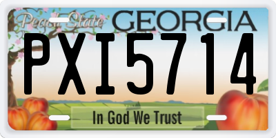 GA license plate PXI5714