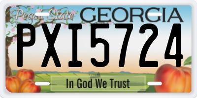 GA license plate PXI5724
