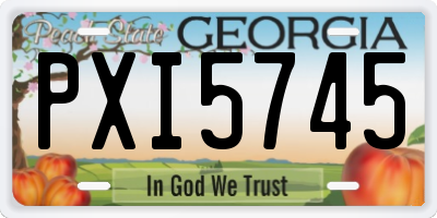 GA license plate PXI5745