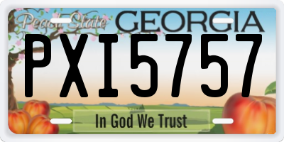 GA license plate PXI5757