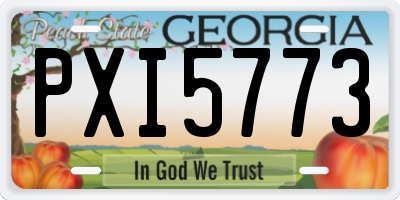 GA license plate PXI5773