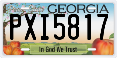 GA license plate PXI5817
