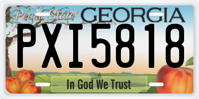 GA license plate PXI5818